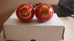  of Leather Cricket Ball